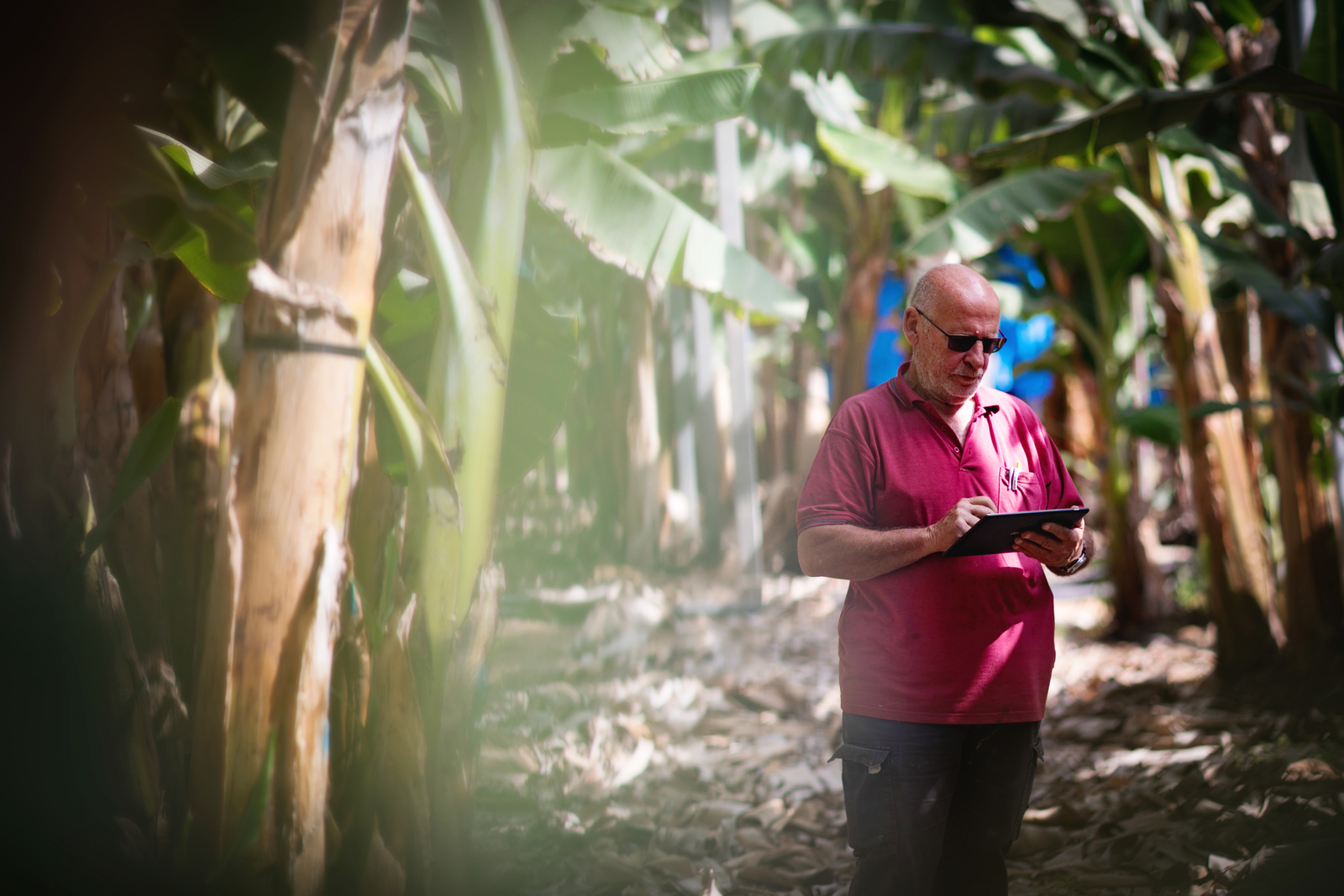 AGRICULTURA DIGITAL - HUERTOS