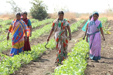 Empoderando a las mujeres en los países en desarrollo con Agrotecnología