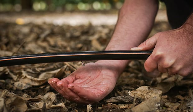 ¿Por qué el riego por goteo es una tecnología innovadora?