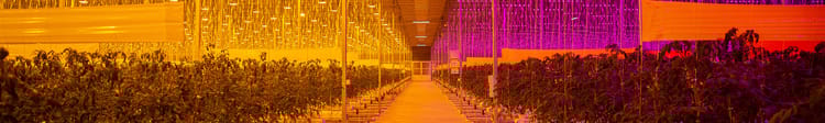 Banner Elementos para el desarrollo de un agronegocio
