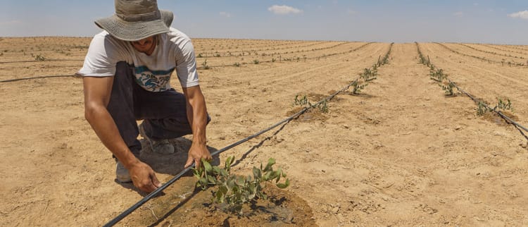 Riego de precisión: poder para el agricultor.