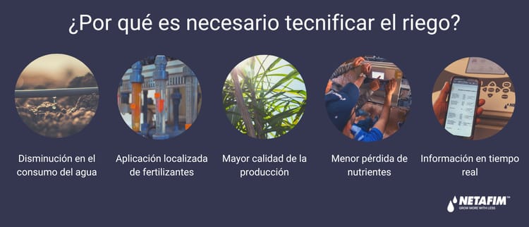 Beneficios de la tecnificación del riego