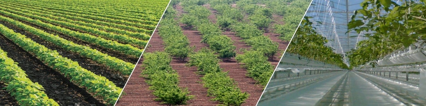Cualquiera que sea tu cultivo, te ayudamos a crecer más con menos